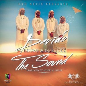 Davido - The Sound