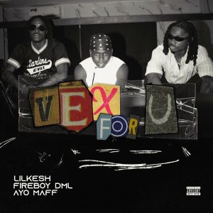 Lil Kesh - Vex For U (feat. Fireboy DML & Ayo Maff)